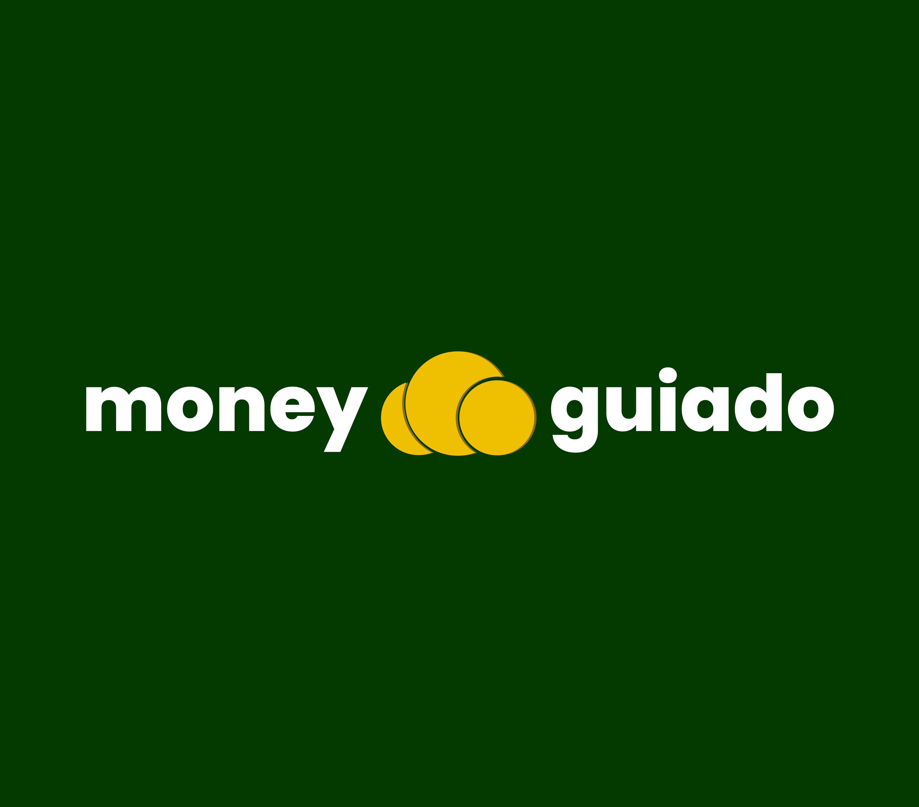 Money Guiado - Gestão Financeira Pessoal